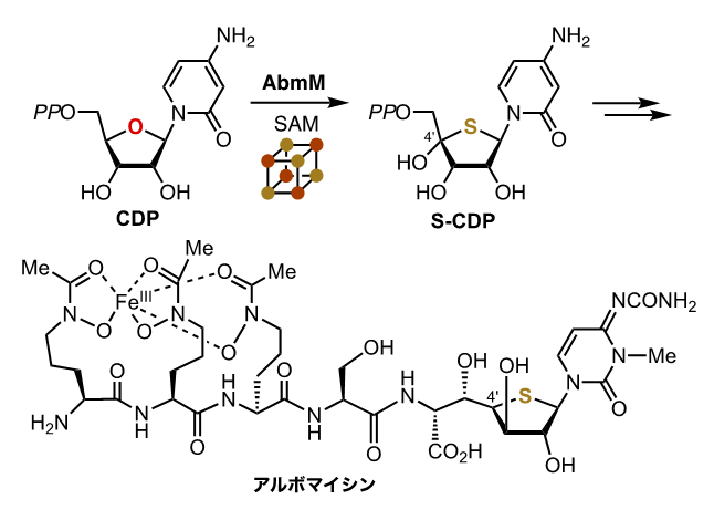 0502有機化学製品 | テック・アイ技術情報研究所